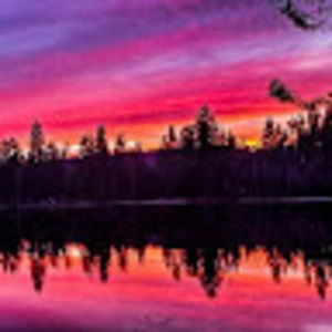 Meet your Posher, Bradden